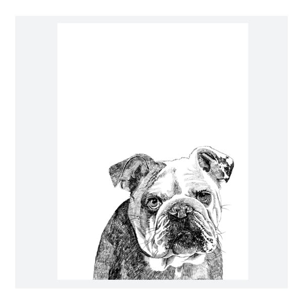 Plakát Leonard The British Bulldog, 30x40 cm