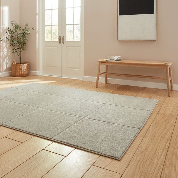 Светлосив килим 120x170 cm Elio Silver – Think Rugs-image-2