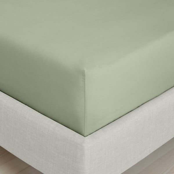 Зелен еластичен чаршаф от памук перкал 90x190 cm Cotton Percale – Bianca-image-3