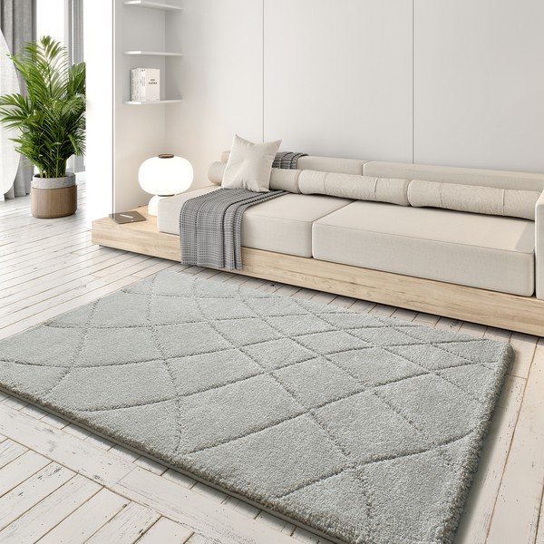 Светлосив килим 60x120 cm Molier – Universal-image-1