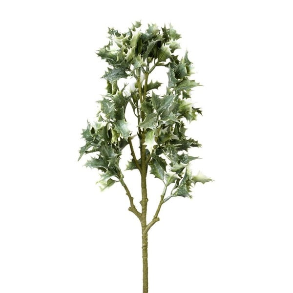 Декоративно клонче от листа на холивуд, дължина 60 cm - Parlane
