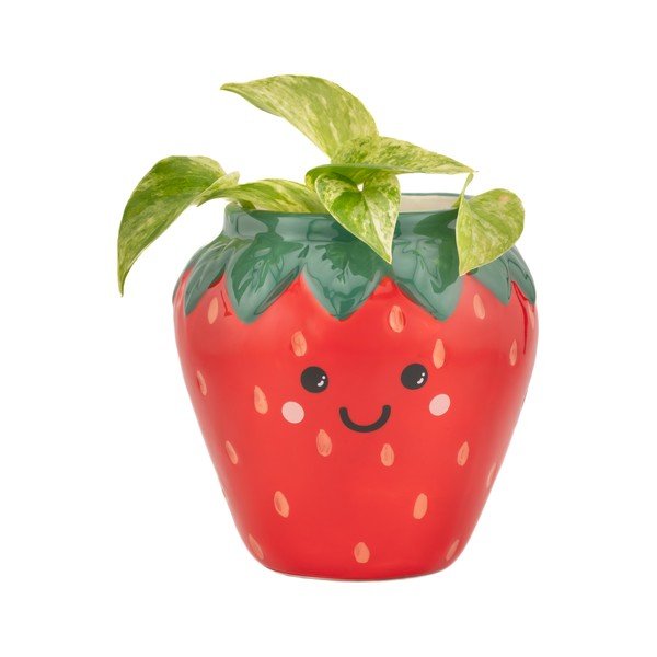 Керамично покритие за кашпа ø 10 cm Strawberry – Sass & Belle-image-1