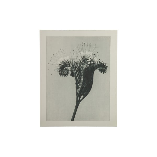 Бежово и сиво живопис Произведения на изкуството Meadow Artwork Plantstudie - BePureHome
