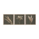 Картини в комплект 3 бр. 30x30 cm Pampas – Styler