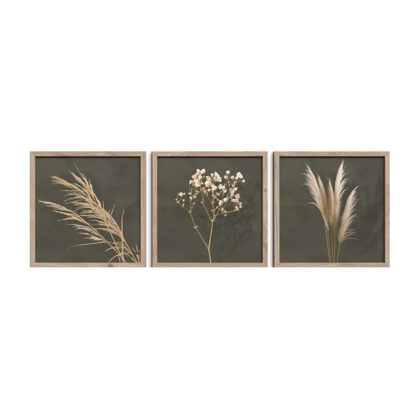 Картини в комплект 3 бр. 30x30 cm Pampas – Styler