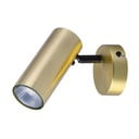 Метален прожектор в златист цвят 8x16 cm Colly – Candellux Lighting