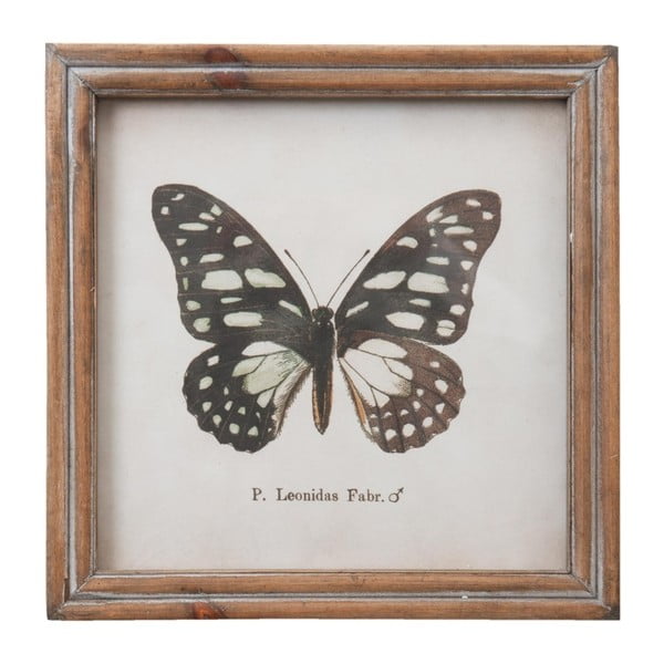 Obraz Clayre & Eef Butterfly, 18 x 18 cm