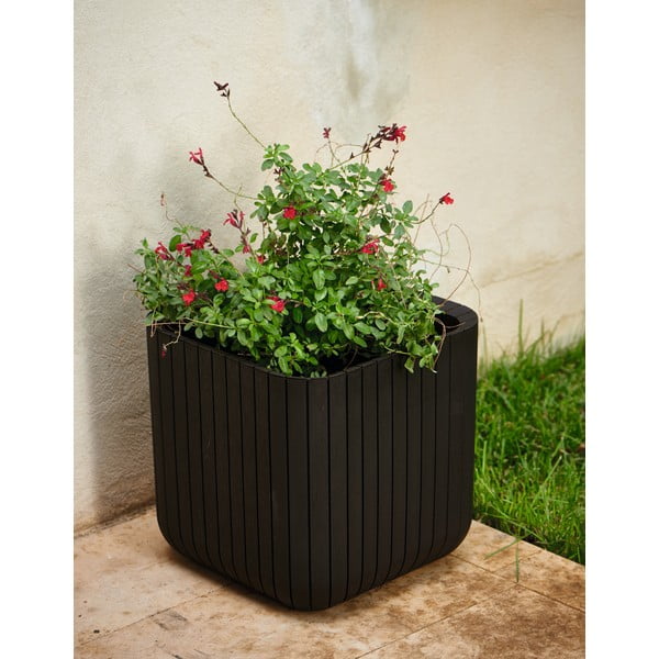 Пластмасова саксия за цветя Cube – Keter-image-1