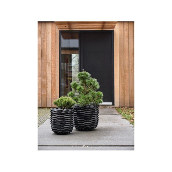 Ратанови саксии в комплект от 2 бр. ø 52 cm Vilda – Villa Collection-image-3