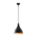 Черно висящо осветително тяло с метален абажур ø 22 cm Sağlam – Opviq lights