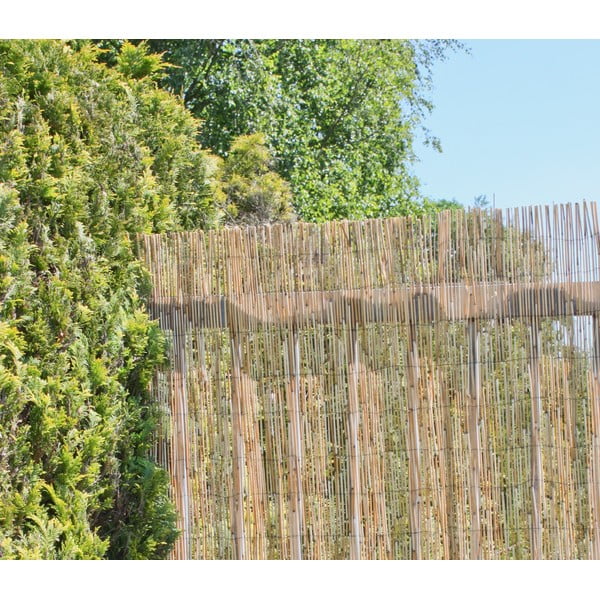 Балконски параван от плетеница в естествен цвят 300x200 cm – Garden Pleasure