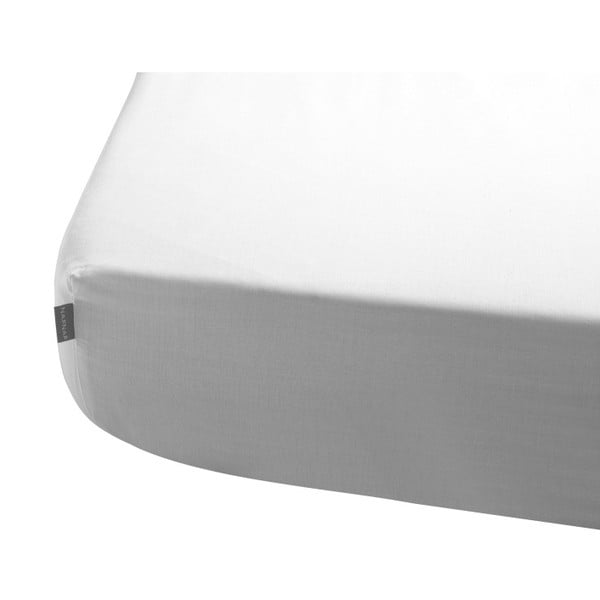 Бял памучен протектор за матрак Berry, 80 x 50 cm - Tanuki