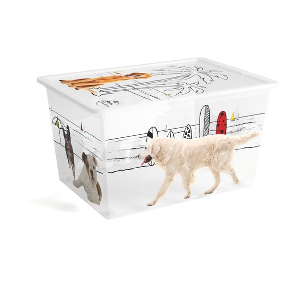 Бяла пластмасова кутия за съхранение с капак 55x39x31 cm C Box Style – KIS