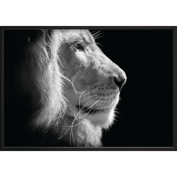 Черно-бял плакат , 100 x 70 cm Lion King - DecoKing