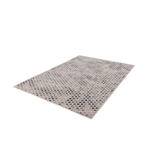 Вълнен килим 200x300 cm Fridia – Agnella-image-4