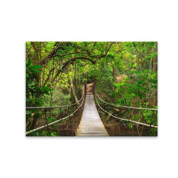 Изображение Glas Nature Forest Bridge, 80 x 120 cm - Styler