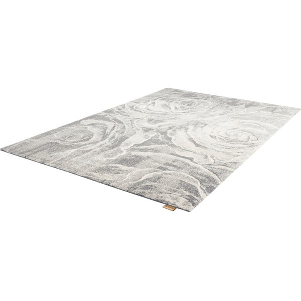Сив вълнен килим 160x240 cm Ros - Agnella-image-4