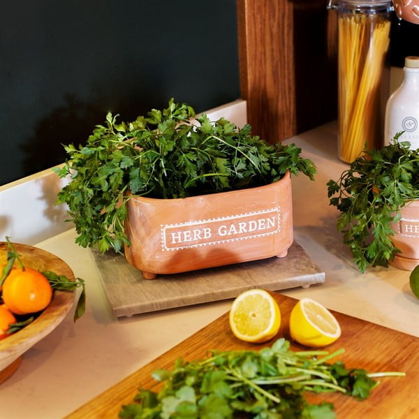 Саксия от теракота, дължина 23 cm Herbs - Sass & Belle-image-1