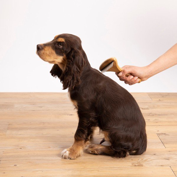 Четка за домашни любимци – Love Story-image-1