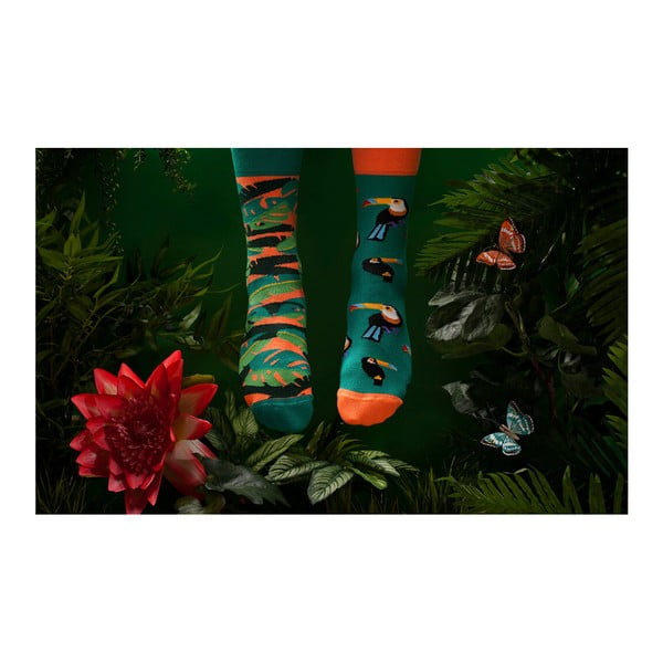 Чорапи , размер 43-46 Tropical Heat - Many Mornings-image-2