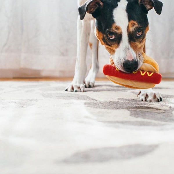Кучешка играчка Hot Dog - P.L.A.Y.-image-3