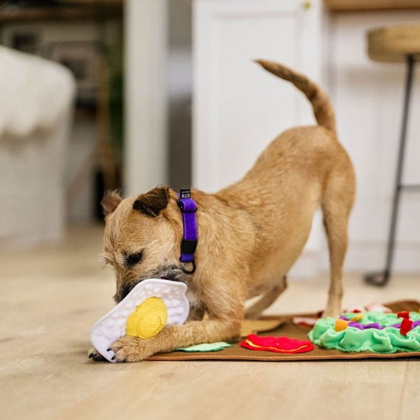 Подожка за обоняние Brunch – P.L.A.Y.-image-1