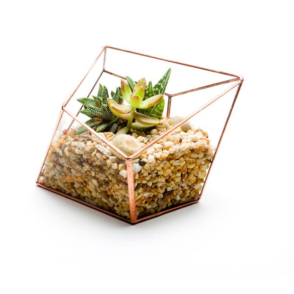 Terárium s rostlinami Urban Botanist Diamond Terrarium, světlý rám
