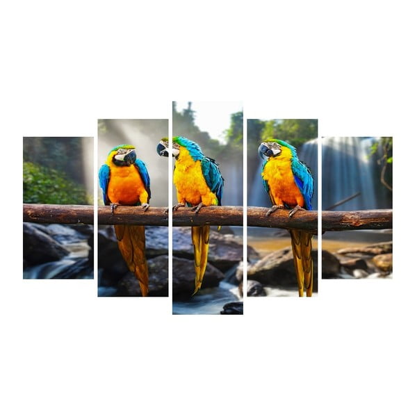 Картина от няколко части върху платно Животински папагали - Unknown