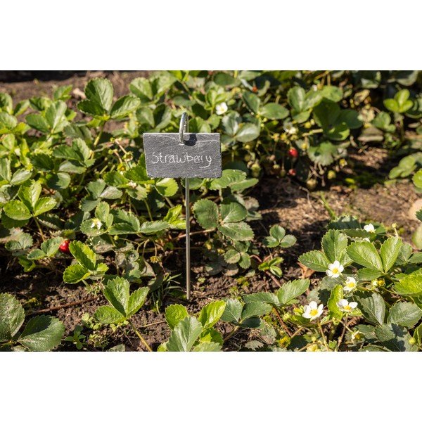 Шистова маса на пръчка - Esschert Design-image-3