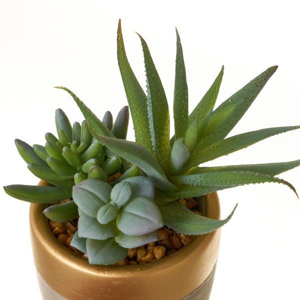 Изкуствени растения в комплект от 4 броя (височина 17 см) Cactus - Casa Selección-image-3