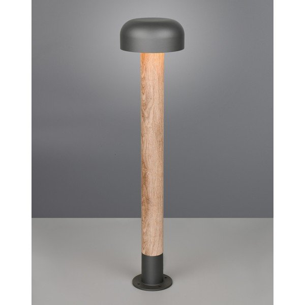 Колонно външно осветително тяло ø 19 cm Fraser – Trio-image-1