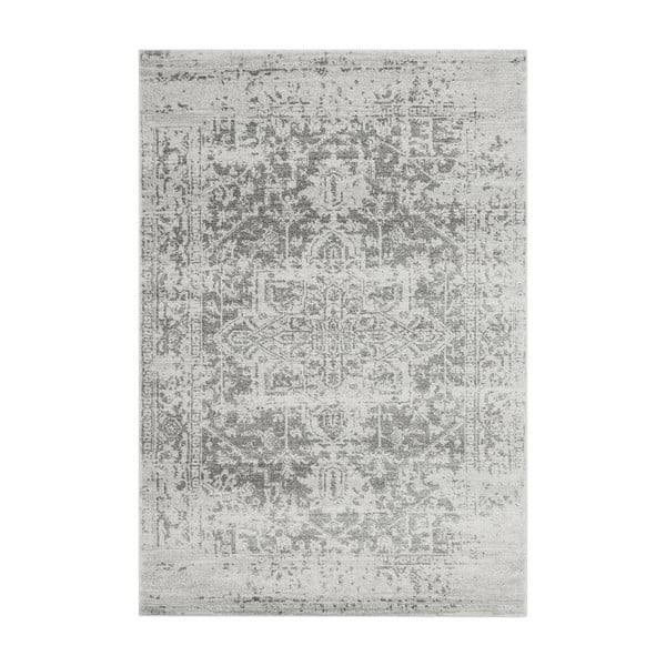Сив килим 160x230 cm Nova – Asiatic Carpets