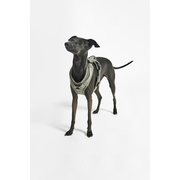 Зелена каишка L дължина 42 cm Modena Grolive L – MiaCara-image-4