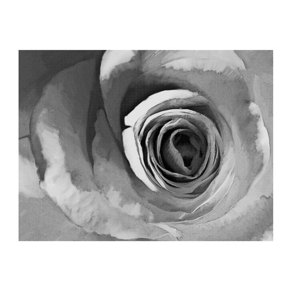 Широкоформатен тапет , 400 x 309 cm Paper Rose - Artgeist
