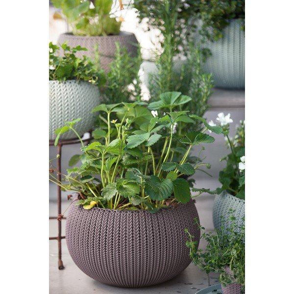 Пластмасова висяща стенна саксия за цветя ø 36 cm Cozy – Keter-image-1