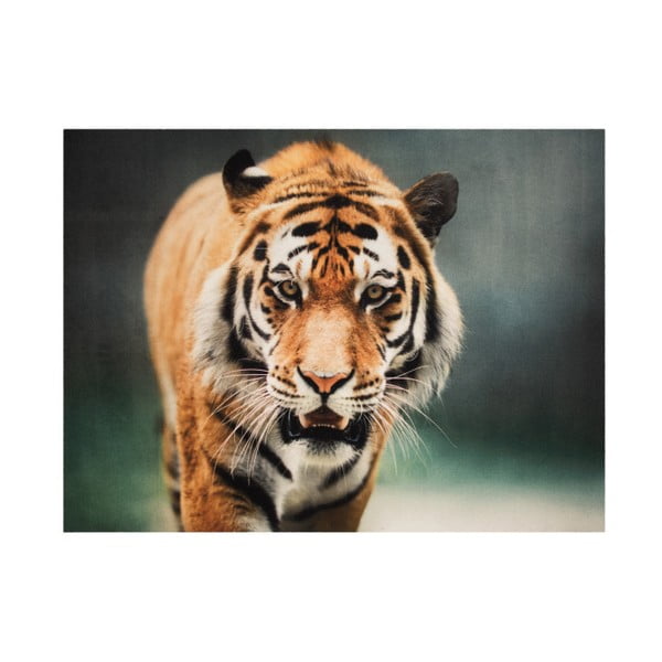 Килим "Тигър", 190 x 140 cm - Hanse Home