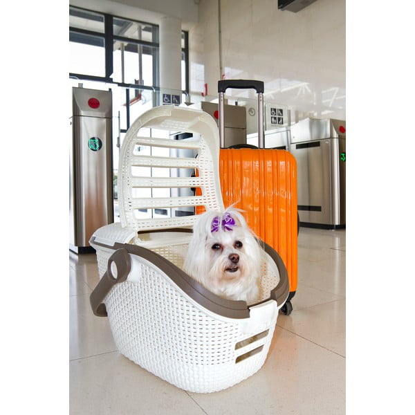 Бяла кутия за транспортиране на животни Vintage - Curver-image-1