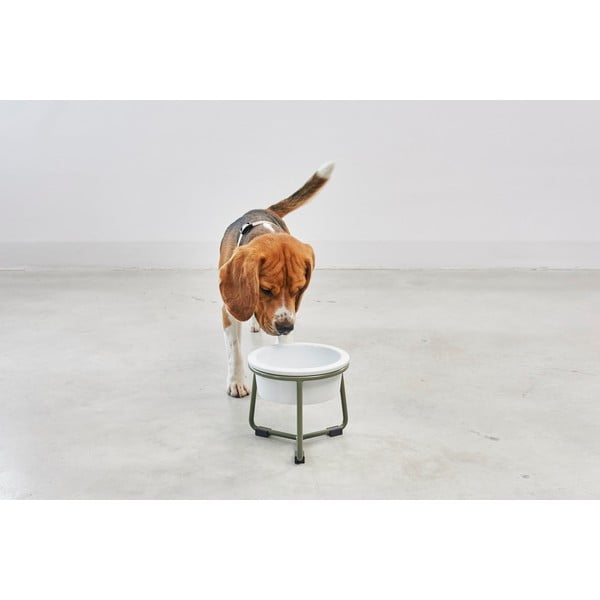 Порцеланова купа с основа за куче ø 20 cm Pranzo Grolive M – MiaCara-image-2