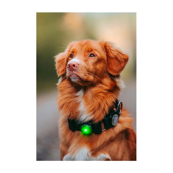LED светлина за яка Green - Orbiloc-image-4