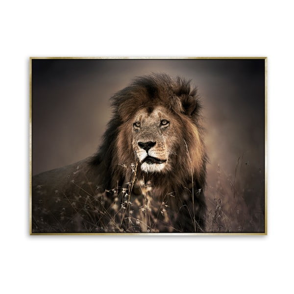 Картина на лъв върху платно Златен лъв, 62 x 82 cm - Styler
