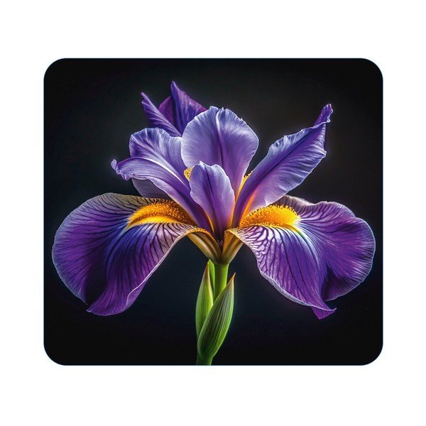 Стенно покритие за печка от закалено стъкло 50x56 cm Abdeckplatte  – Wenko