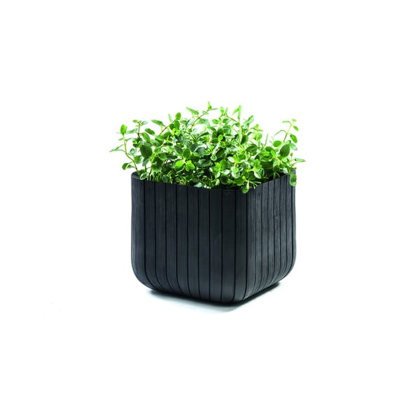 Пластмасова саксия за цветя Cube – Keter-image-2