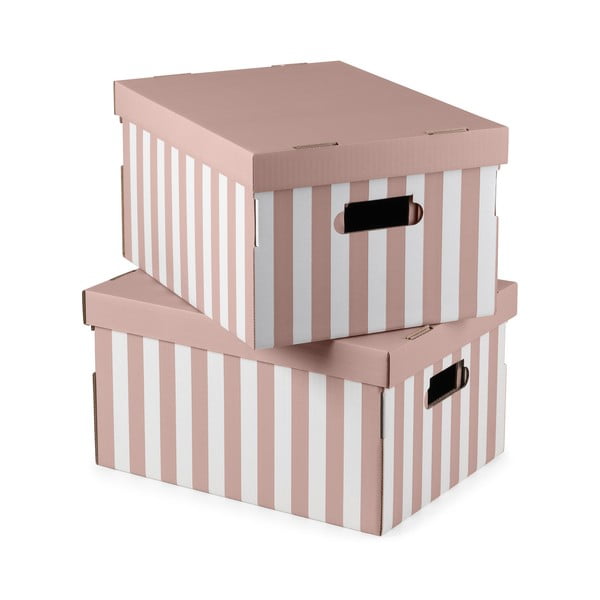Картонени кутии за съхранение с капак в комплект от 2 броя Stripes - Compactor