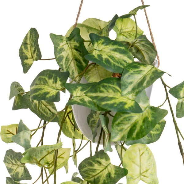 Изкуствени растения в комплект от 2 бр. (височина 55 cm) – Casa Selección-image-3