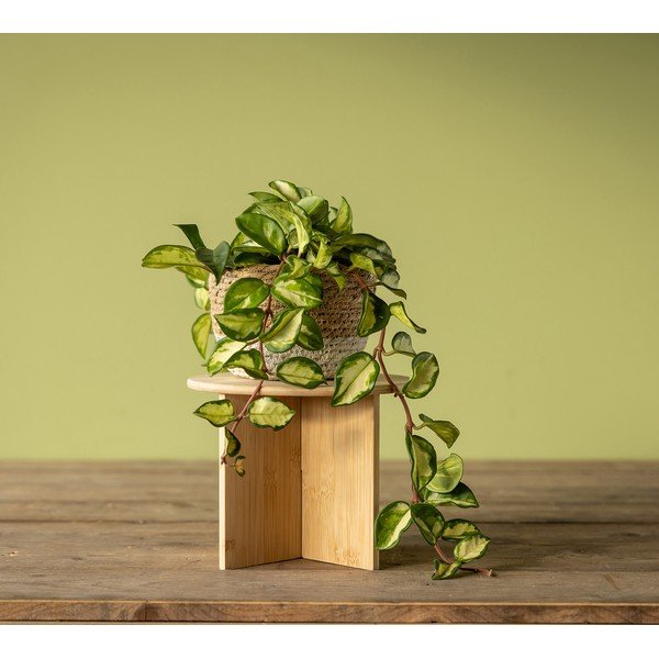 Бамбукова стойка за цветя ø 25 cm (височина 19,5 cm) – Esschert Design-image-1