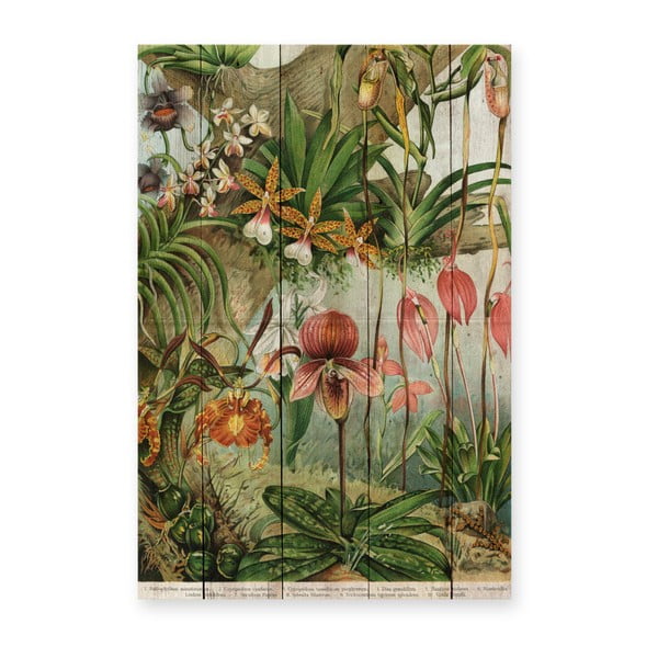 Декорация за стена от борова дървесина , 60 x 40 cm Jungle Flowers - Madre Selva