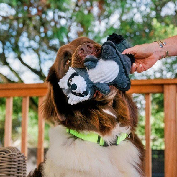 Играчка за куче Mýval – P.L.A.Y.-image-1