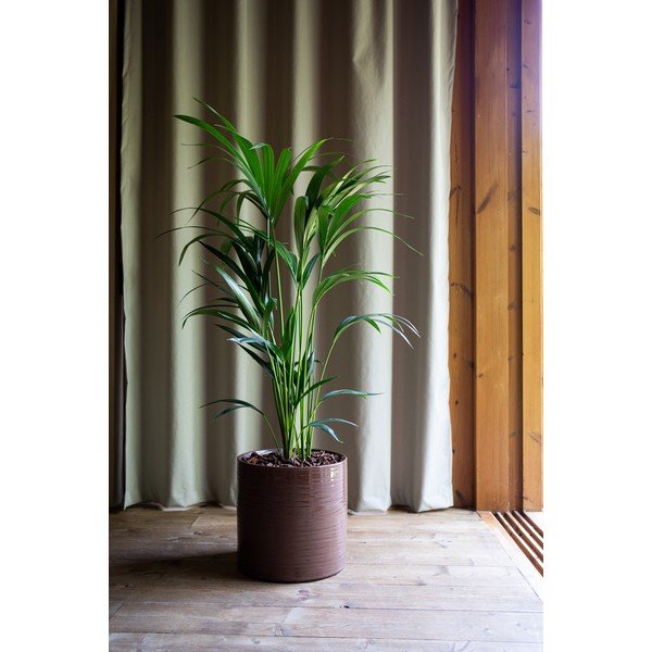 Керамично ръчно изработено покритие за кашпа ø 18 cm Fortuna – Artevasi-image-3