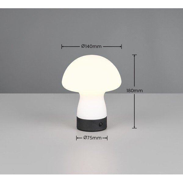 LED настолна лампа в матово бял цвят със стъклен абажур (височина 18 cm) Dooley – Reality-image-4