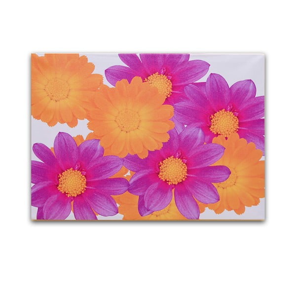 Dřevěný obraz Flowers Composition, 50x36 cm
